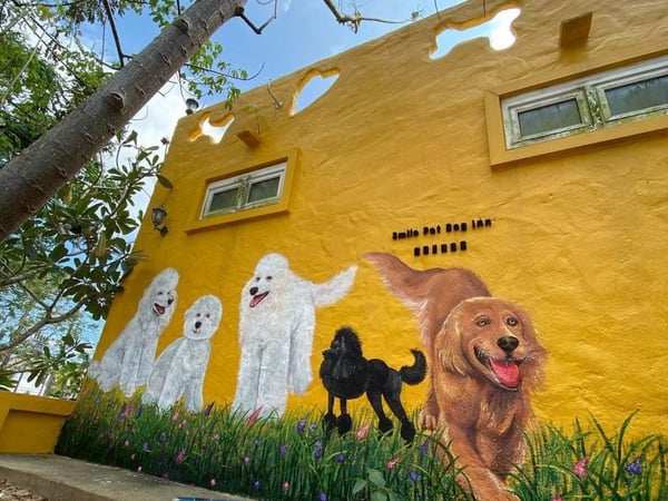 Smilepet grooming & restaurant photo 4