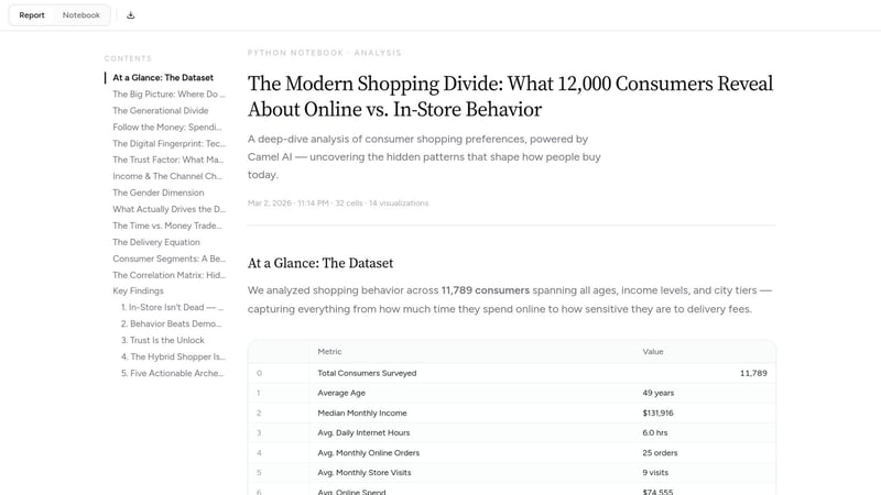 The Modern Shopping Divide screenshot