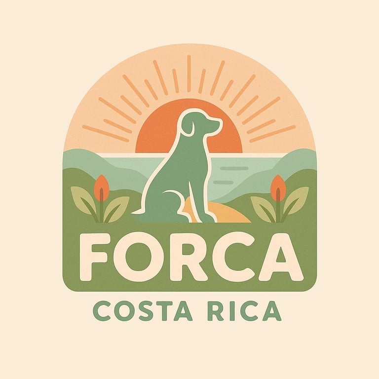 Forca