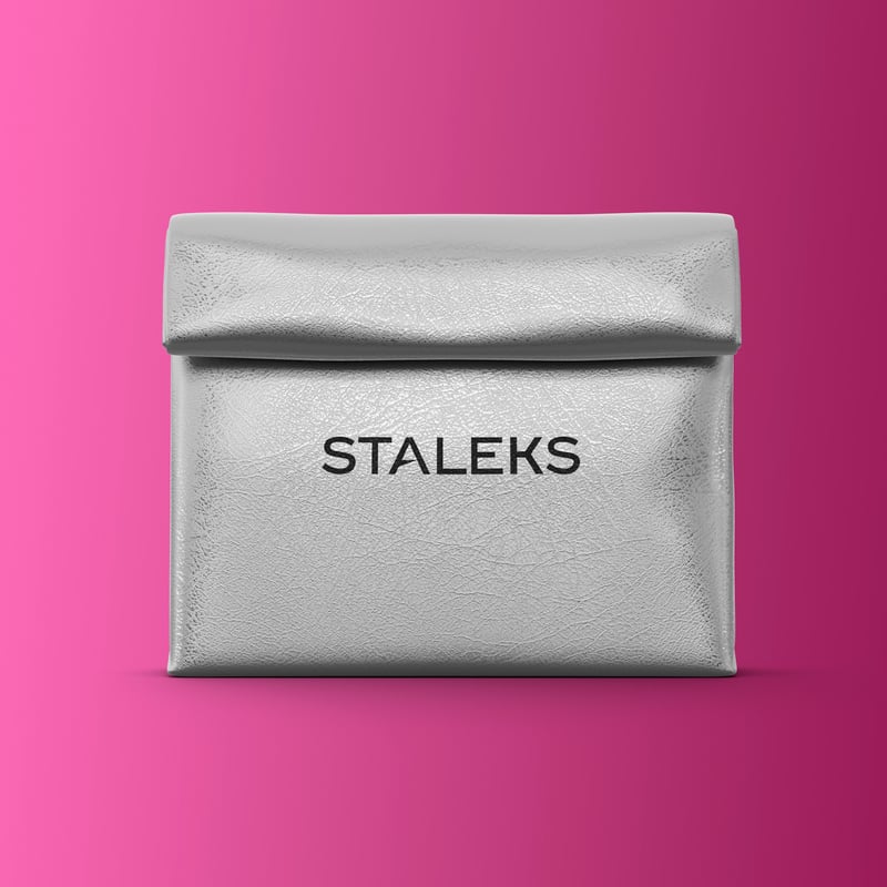 STALEKS Necesar plateado de ecopiel, tamaño L