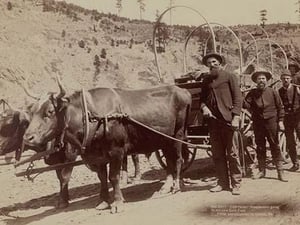 Gold Fever. Prospectors going to the new Gold Field by John C.H. Grabill - Art Print