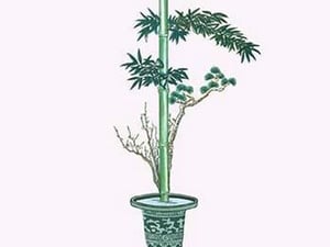Shochikubai (Plum