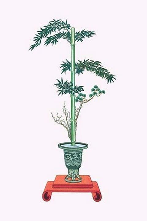 Shochikubai (Plum