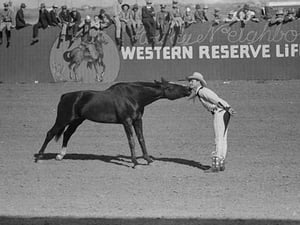 Horse Kiss by Russell Lee - Art Print