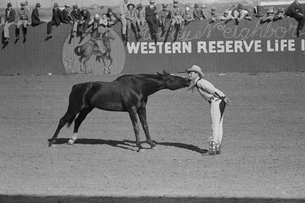 Horse Kiss by Russell Lee - Art Print