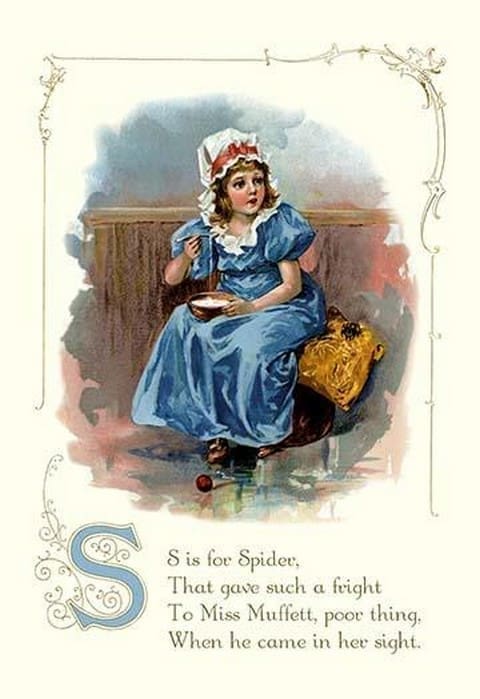 S is for Spider - Art Print