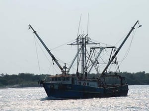Fisherman's Return by Jason Pierce - Art Print