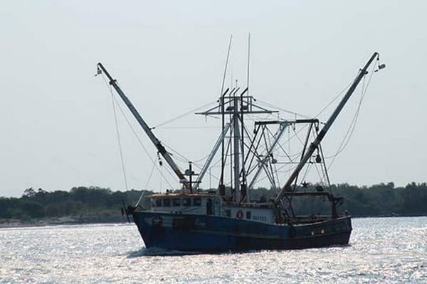 Fisherman's Return by Jason Pierce - Art Print