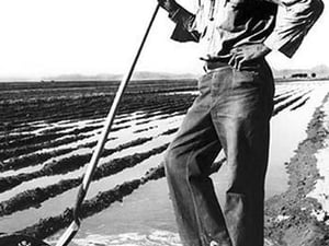 Migrant Irrigator by Dorothea Lange - Art Print
