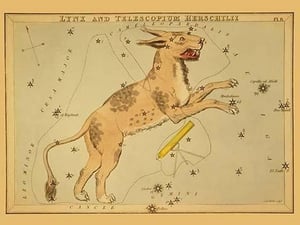 Lynx and Telescopium Herschilii by Aspin Jehosaphat - Art Print
