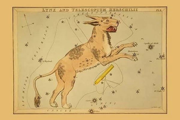 Lynx and Telescopium Herschilii by Aspin Jehosaphat - Art Print