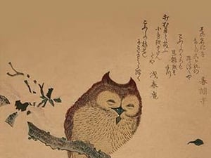 Owl of Branch - Art Print