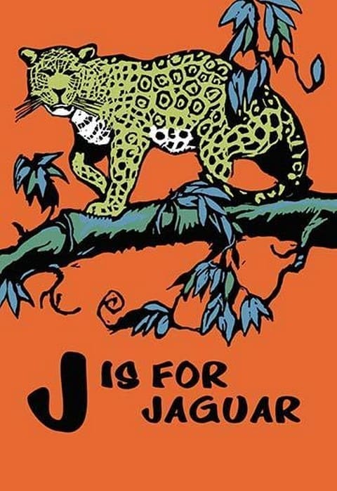 J is for Jaguar by Charles Buckles Falls - Art Print