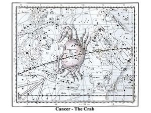 Cancer - the Crab by Alexander Jamieson - Art Print