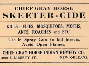 Chief Gray Horse Skeeter-Cide - Art Print