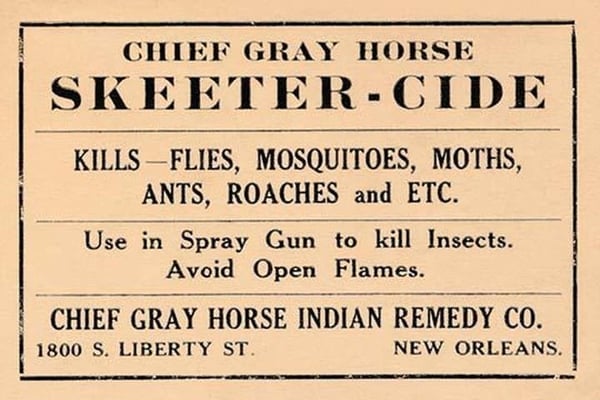 Chief Gray Horse Skeeter-Cide - Art Print