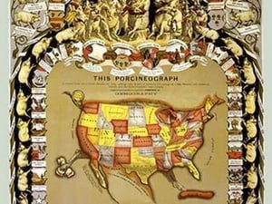 This porcineograph by Forbes Lith. Mfg. Co - Art Print