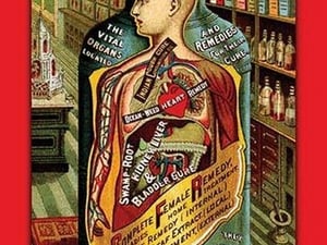 Dr. Kilmer's Standard Herbal Remedies by J. Ottoman - Art Print