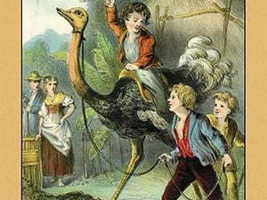 The Swiss Family Robinson: Training the Ostrich - Art Print