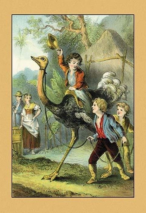 The Swiss Family Robinson: Training the Ostrich - Art Print