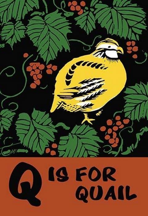 Q is for Quail by Charles Buckles Falls - Art Print
