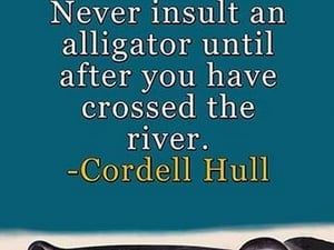 Wisdom by Cordell Hull - Art Print