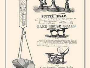 Butter Scale - Art Print