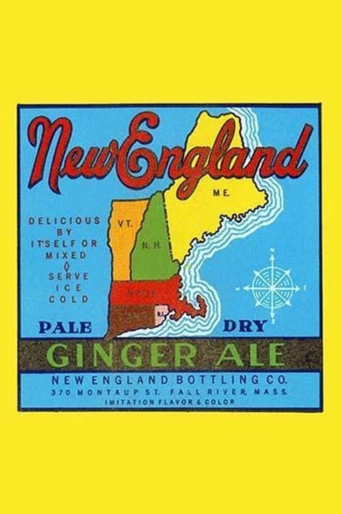 New England Pale Dry Ginger Ale - Art Print