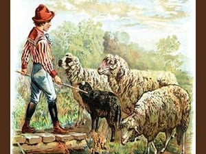 Ba-a Ba-a Black Sheep - Art Print