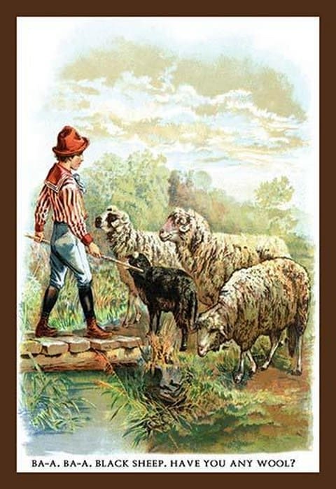 Ba-a Ba-a Black Sheep - Art Print