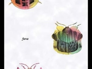 Beetles of Sumatra