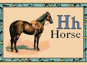 Horse - Art Print