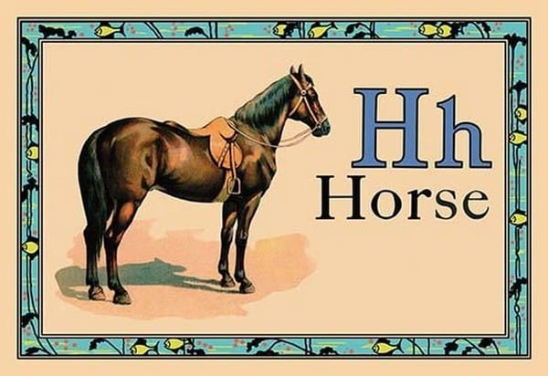 Horse - Art Print
