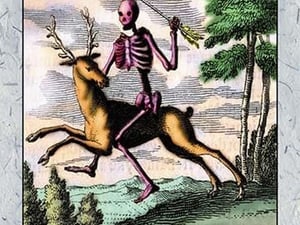 Skeleton on Buck - Art Print