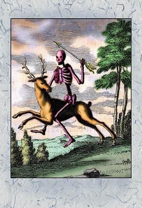 Skeleton on Buck - Art Print