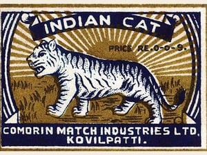 Indian Cat - Art Print