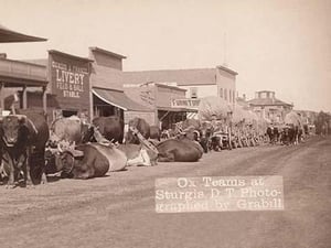 Ox Teams in the Dakota Territory by John C.H. Grabill - Art Print