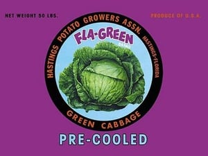 Fla-Green Green Cabbage - Art Print