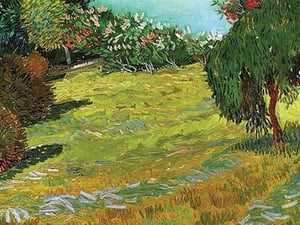 Sunny Meadow