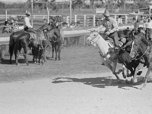 Bulldogging by Arthur Rothstein #2 - Art Print