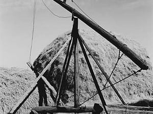 Hay Derrick by Dorothea Lange - Art Print