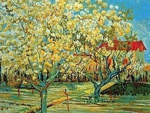 Orchard with Cypress by Vincent van Gogh - Art Print