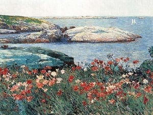 Poppies
