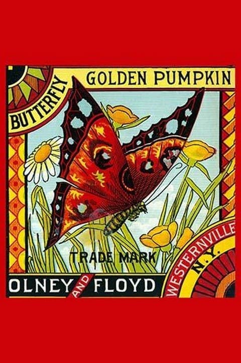 Butterfly Golden Pumpkin - Art Print