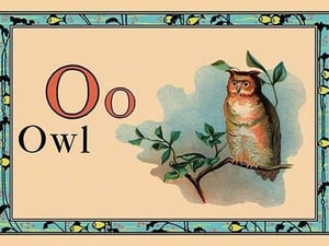 Owl - Art Print