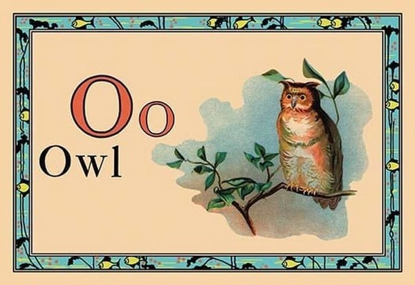 Owl - Art Print