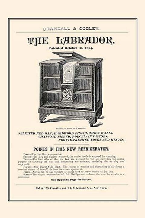 The Labrador - Cut Away View - Art Print