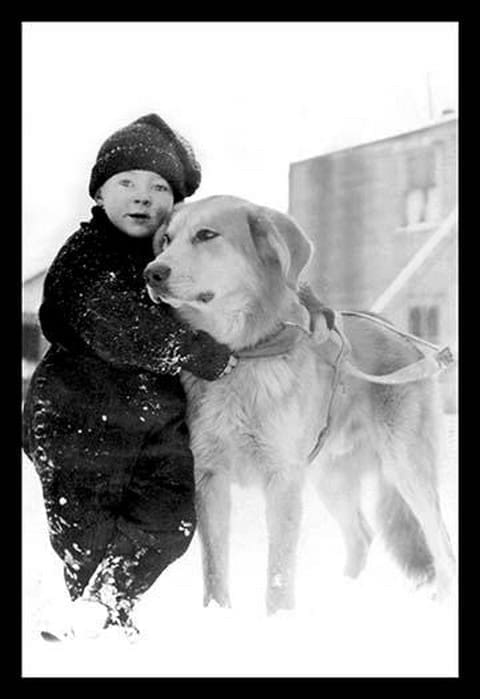 Child with Dog in Alaska - Art Print