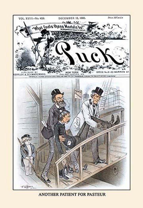 Puck Magazine: Another Patient for Pasteur by Frederick Burr Opper - Art Print