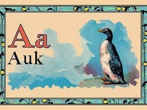 Auk - Art Print